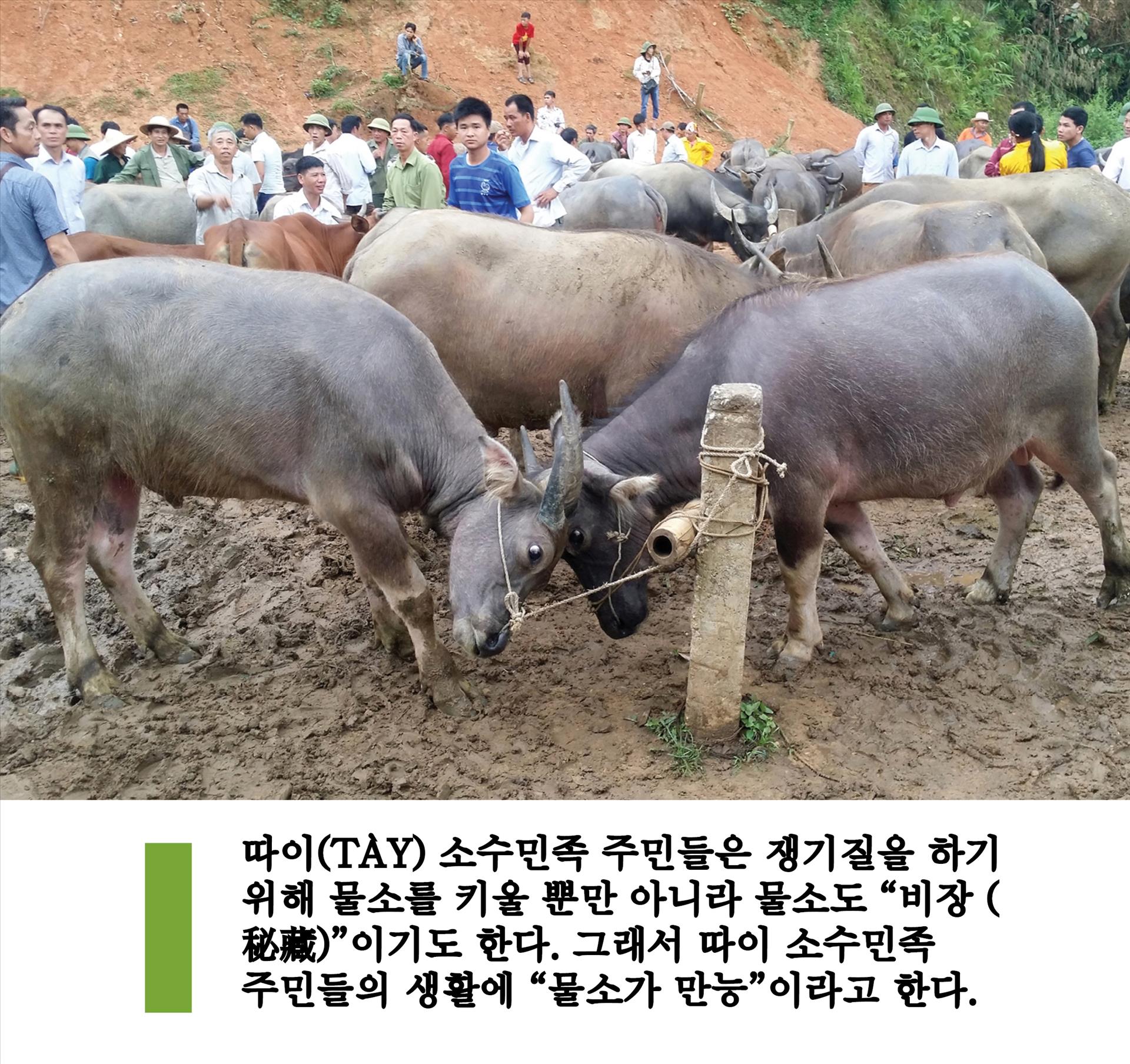 베트남픽토리알 한국어판