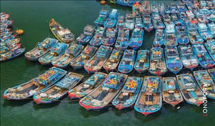 Quyết tâm gỡ thẻ vàng EC