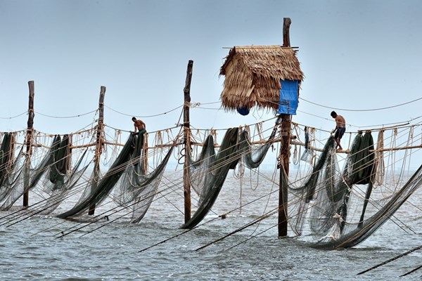 Lênh đênh trên đáy hàng khơi