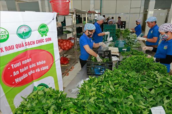 ឆ្ពោះទៅគោលដៅនាំចេញបន្លែនិងផ្លែឈើចំនួន ១០ ពាន់លានដុល្លារ 