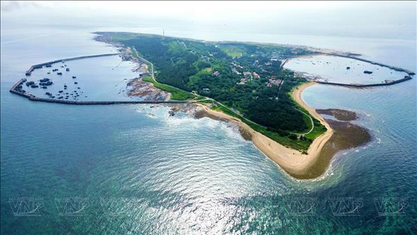 하이퐁시 박롱비 특구, 전국 선거일 하루 앞서 3월 14일 조기 투표 실시