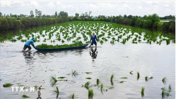 WWFs climate resilient project yields efficiency in Bac Lieu province