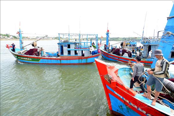 ចេញទៅសមុទ្រដោយស្របច្បាប់ ខេត្ត Khanh Hoa ប្តេជ្ញាដក កាតលឿង របស់ EC