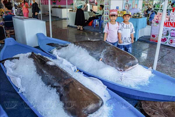 동탑성, 지속 가능한 수산 자원 개발을 위한 어선단 구조조정 추진