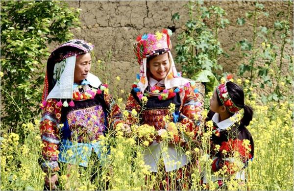 Ha Giang, Hoi An gain global spotlight in Time Outs 2026 rankings