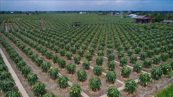 베트남 국회, 국가 목표 프로그램 논의…국민 삶의 질 개선에 집중