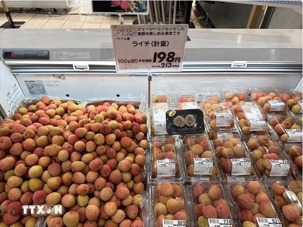 베트남 채소 및 과일, 일본 소비자들에게 인기