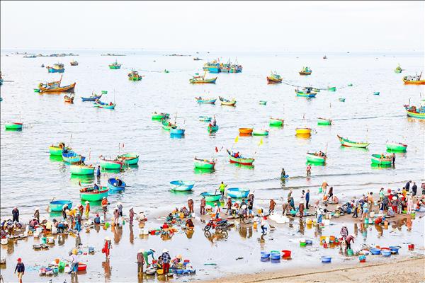 Mũi Né bất ngờ trở thành điểm đến xu hướng toàn cầu năm 2026