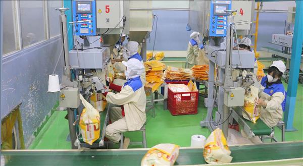 Vietnam busca redefinir estrategias para exportaciones arroceras