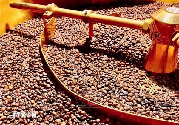 越南咖啡行业努力应对欧盟防止森林砍伐新规