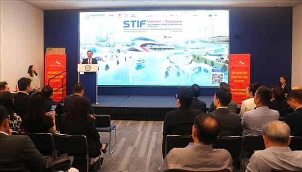 Vietnamese, Singaporean businesses boost digital connectivity