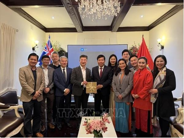 越南语学习平台VietNEST为维护与传统越南语作出贡献