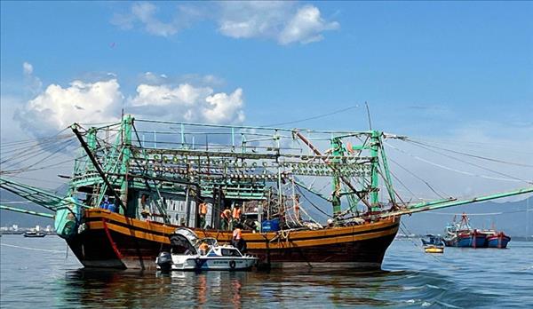 Da Nang expects removal of EC yellow card, sustainable fishery industry