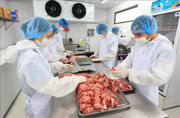 Hanoï renforce sa gestion de la sécurité alimentaire pour la santé publique