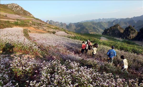 ខ្ពង់រាបថ្មដុងវ៉ាន់ទទួលកិត្តិនាមជា គោលដៅវប្បធម៌ឈានមុខគេរបស់ពិភពលោក ឆ្នាំ២០២៥