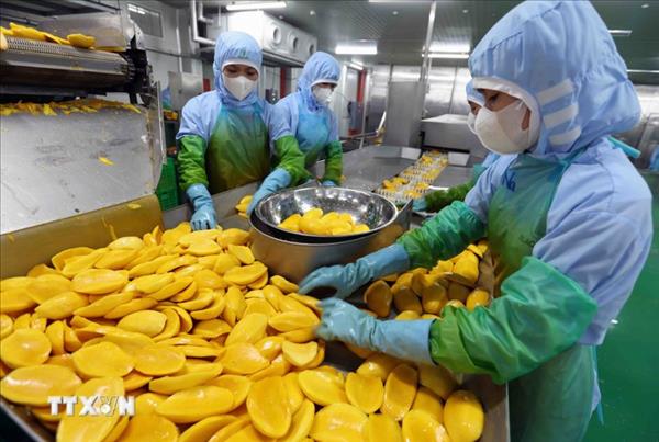 Vietnam posts 7.11-billion-USD trade deficit in four months