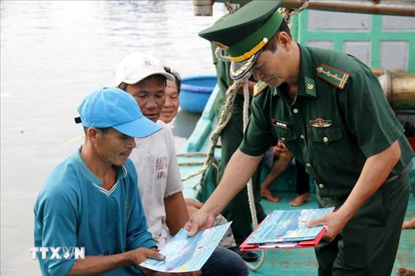 Da Nang restructures fishing fleet for sustainable fisheries, IUU yellow card lifting