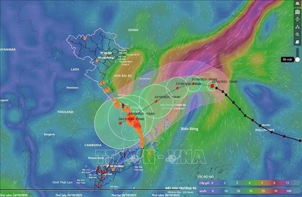 PM directs urgent measures to brace for Typhoon Fengshen