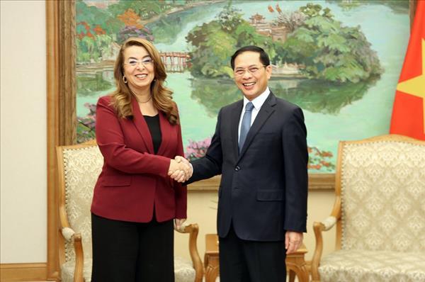 Vietnam, UNODC strengthen cooperation in crime prevention