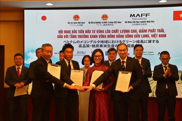 Việt Nam và Nhật Bản tăng cường xúc tiến đầu tư nông nghiệp xanh vùng Đồng bằng sông Cửu Long