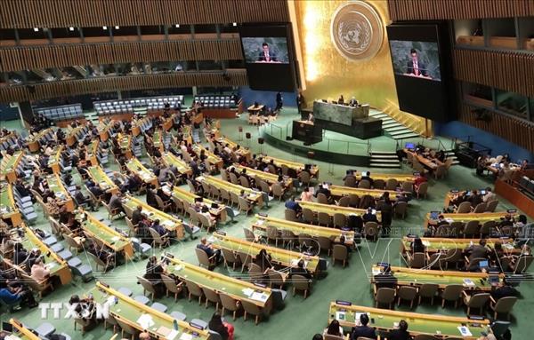 国际社会对越南在保护人权方面取得的成就予以认可