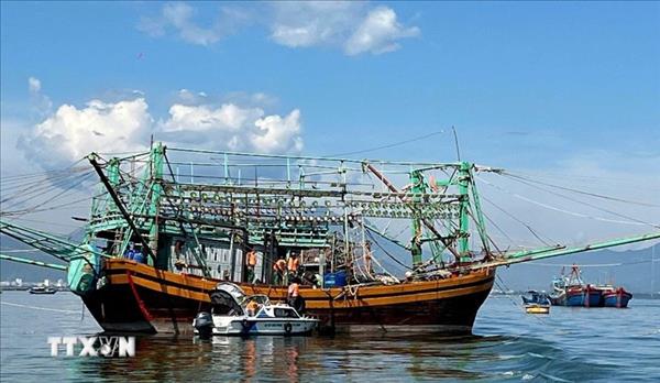 Vietnams fight against IUU fishing coupled with sustainable fisheries development: official