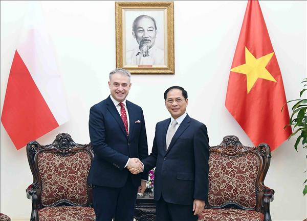 Phó Thủ tướng Chính phủ Bùi Thanh Sơn tiếp Phó Thủ tướng, Bộ trưởng Kỹ thuật số Ba Lan Krzysztof Gawkowski