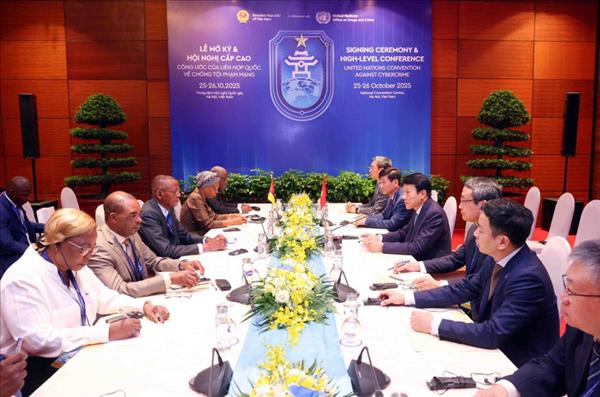 Ministro de Seguridad de Vietnam impulsa cooperación internacional