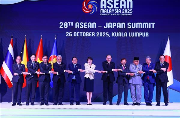 Hội nghị Cấp cao ASEAN 47: Thủ tướng Phạm Minh Chính dự Hội nghị Cấp cao ASEAN - Nhật Bản lần thứ 28
