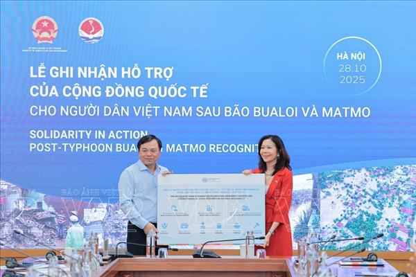 各国驻越使节与国际组织携手支持越南灾后恢复