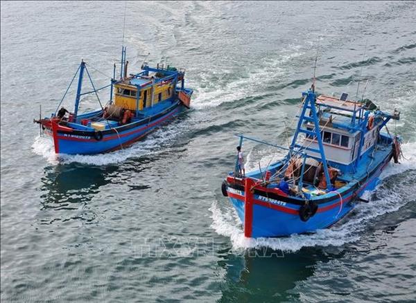 Dak Lak to hold officials accountable for any laxity in IUU fishing fight