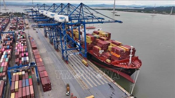Joint statement on US-Vietnam trade framework helps build trust for bilateral trade: expert