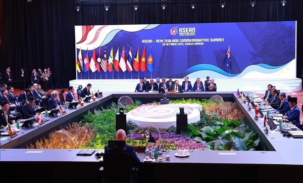 Thủ tướng Phạm Minh Chính dự Hội nghị Cấp cao ASEAN-New Zealand