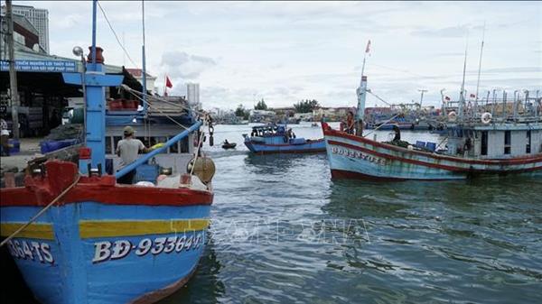 越南与马来西亚加强合作,共同打击非法捕捞