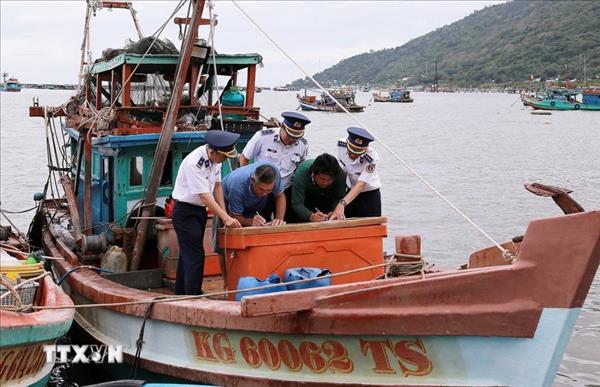Lam Dong resolves all VMS disconnections in push for IUU yellow card removal