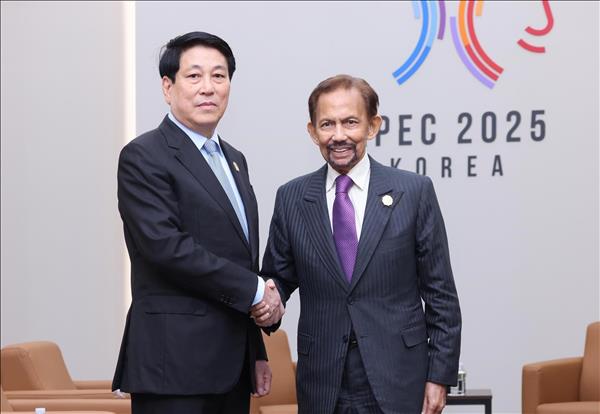 Tuần lễ Cấp cao APEC 2025: Phát triển hơn nữa quan hệ thực chất Việt Nam - Brunei