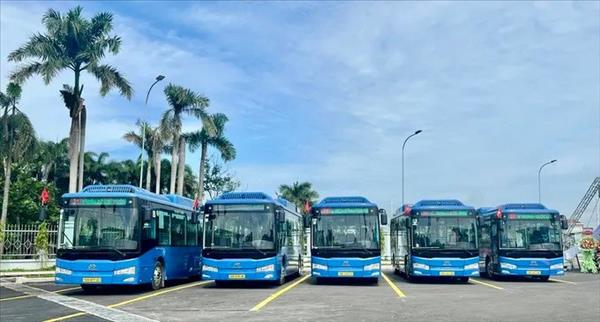 First electric bus route to be launched in Con Dao in December