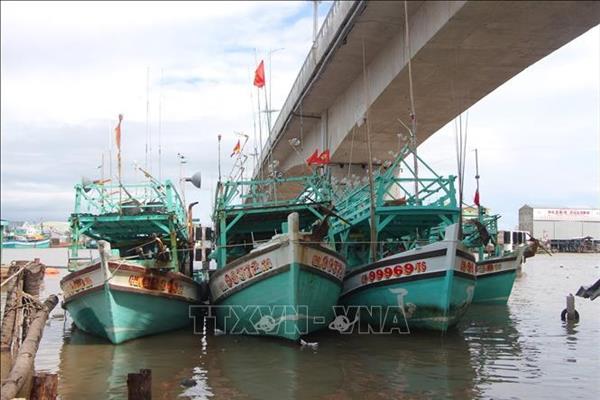 Vérification de la flotte et traçabilité : Cà Mau accélère sa lutte contre la pêche illégale