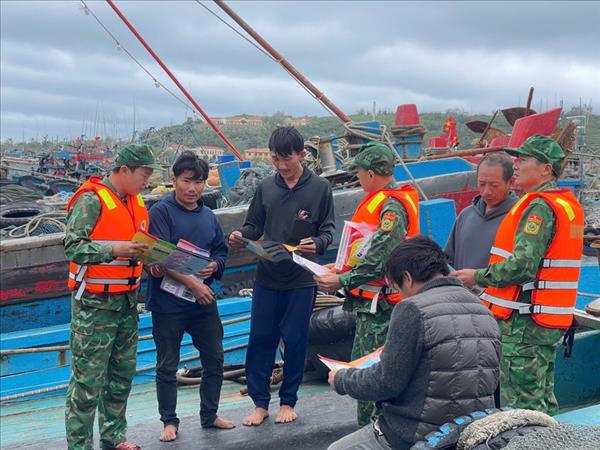 Campaign raises awareness against illegal fishing at Bach Long Vy port