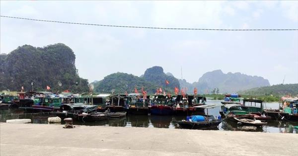 ບັນ​ດາ​ທ້ອງ​ຖິ່ນ​ຜັນ​ຂະ​ຫຍາຍ​ບັນ​ດາ​ມາດ​ຕະ​ການຢ່າງ​ຂ້ຽ​ວ​ຂາ​ດ​ແນ​ໃສ່​ປະ​ກອບ​ສ່ວນຍົກ​ເລີກ ບັດ​ເຫຼືອງ ຂອງ EC