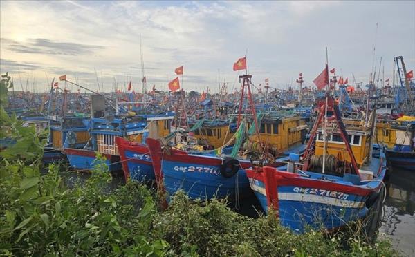 ພາຍຸ Kalmaegi ພັດເຂົ້າທະເລຕາເວັນອອກ, ບັນດາແຂວງທາງພາກກາງເປັນເຈົ້າການຮັບມື