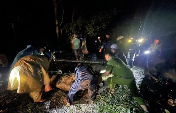 Typhoon weakens, bringing torrential rain 3 missing off Ly Son Island