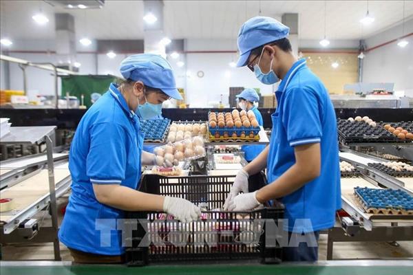 Индекс потребительских цен за 10 месяцев 2025 года увеличился на 3,27%