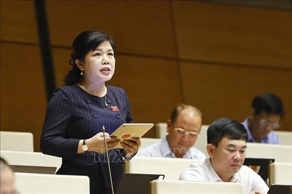 Diputados vietnamitas proponen medidas de post-inspección en transferencia de tecnología