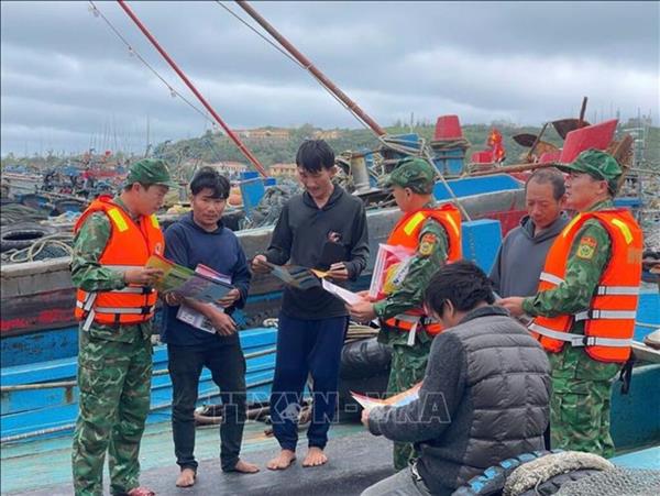 Provincia de Quang Ninh acomete acciones contra la pesca ilegal