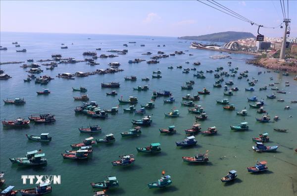 Vietnam cracks down on IUU fishing violations with transparency, strict enforcement