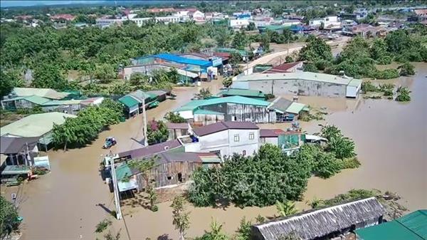 Initial damage caused by Typhoon Kalmaegi estimated at 7.05 trillion VND