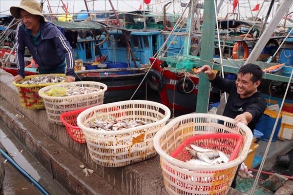 베트남, 지속 가능한 수산업 확보 목표