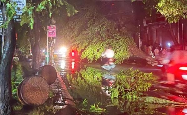 ພາ​ຍຸ Kalmaegi ກໍ່​ຜົນ​ເສຍ​ຫາຍ​ຢ່າງ​ໜັກ​ໜ່ວງ​ຢູ່ແຂວງ ຢາ​ລາຍ ແລະ ດັກ​ລັກ