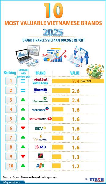 Vietnams ten most valuable brands in 2025
